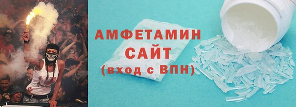 PSILOCYBIN Бородино