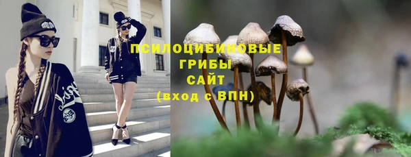 прущий лед Бронницы