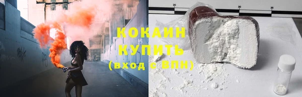 PSILOCYBIN Бородино