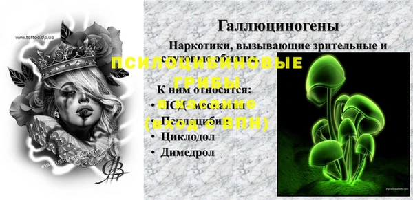 mdpv Богданович