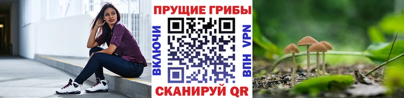 Псилоцибиновые грибы прущие грибы Ковдор